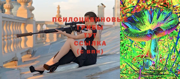 дурь Горняк