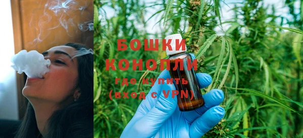 PSILOCYBIN Горнозаводск