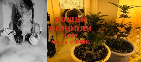 ГАЛЛЮЦИНОГЕННЫЕ ГРИБЫ Дмитров