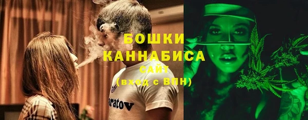 PSILOCYBIN Горнозаводск